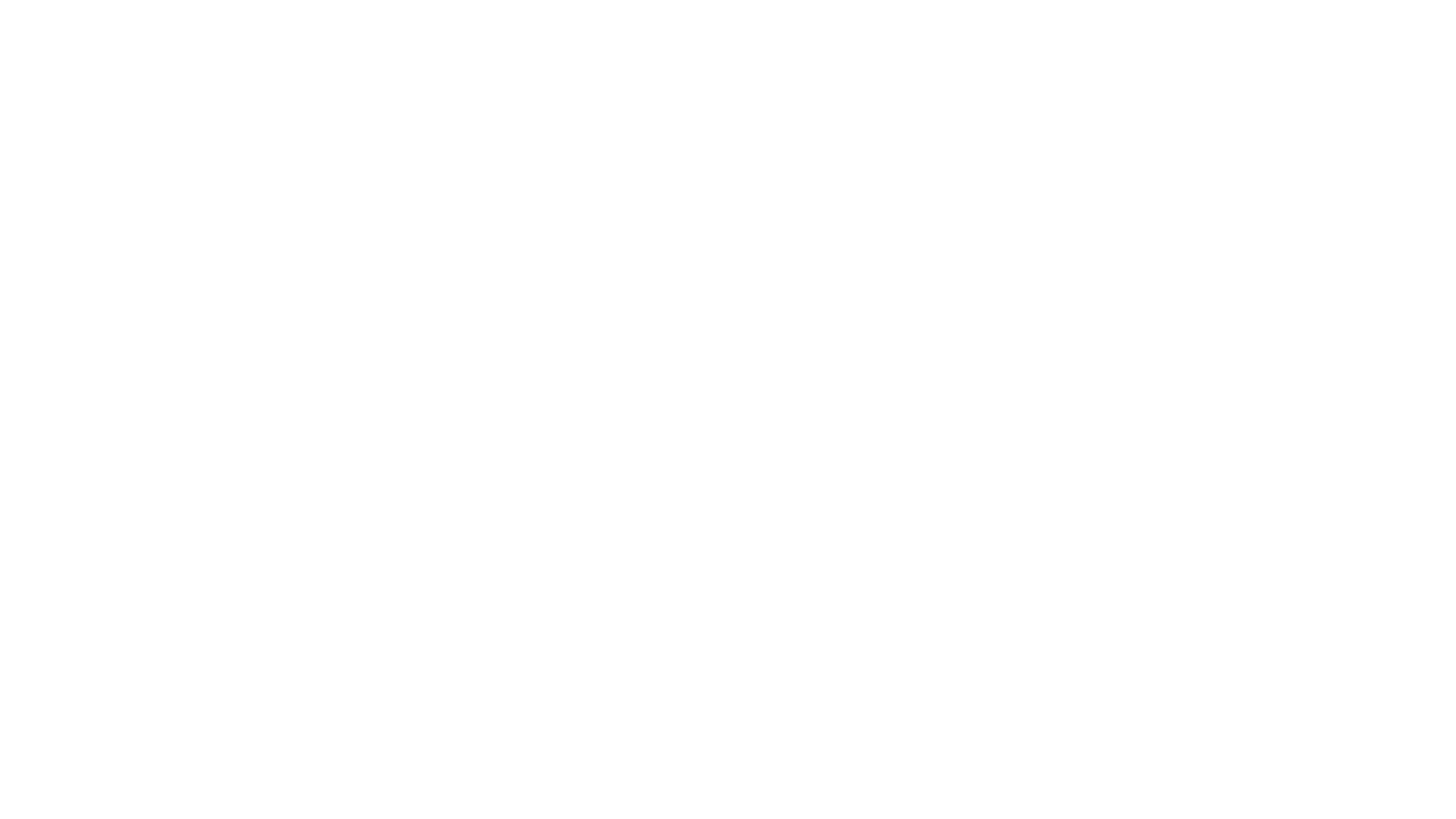 Swizzer Logo
